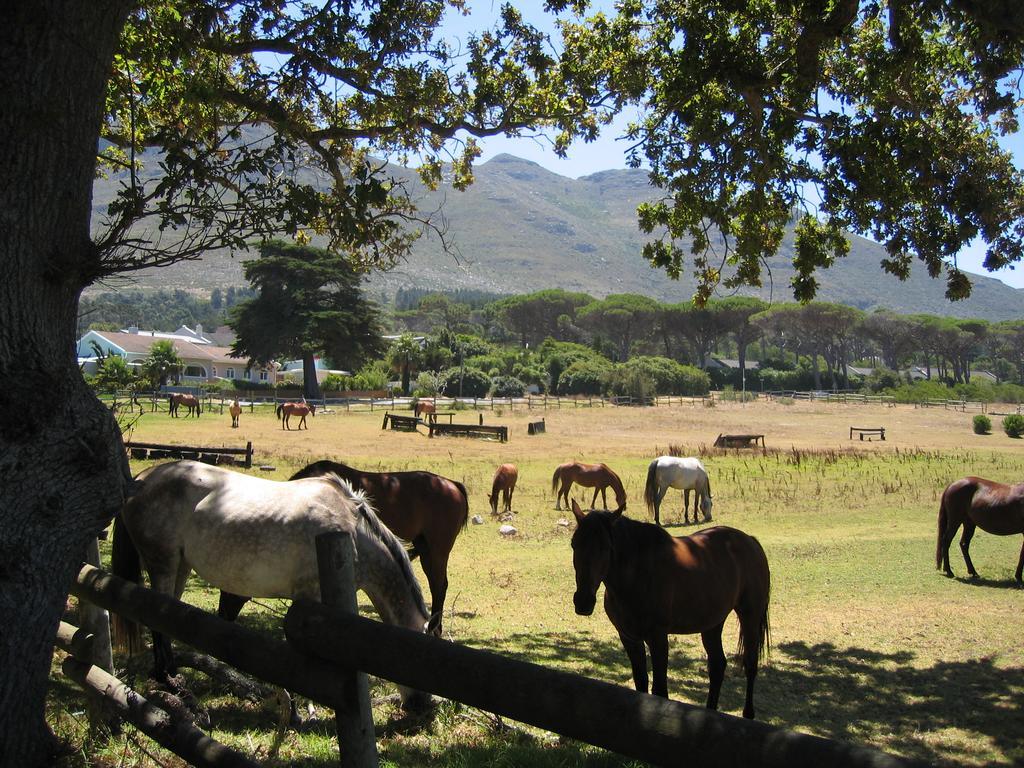 Sacred Mountain Lodge Noordhoek Exterior photo